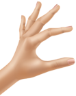 Hand Transparent PNG Clip Art Image