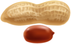 Peanut PNG Clip Art