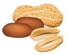 Peanuts PNG Clipart Picture