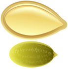 Pumpkin Seed PNG Clip Art