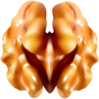 Walnut PNG Clipart