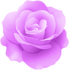 Purple Rose Flower Clip Art Image