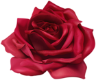 Red Flower Rose Transparent Image