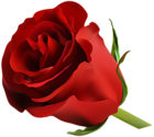 Red Rose PNG Clip Art Image