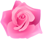 Rose Pink Artistic PNG Transparent Clipart