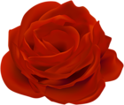 Rose Red Clip Art PNG Image