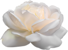 White Rose PNG Clip Art Image