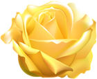 Yellow Rose PNG Clip Art Image