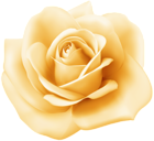 Yellow Rose Transparent Image