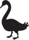 Goose Silhouette PNG Clip Art Image