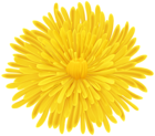 Dandelion PNG Transparent Clipart