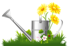 Spring Decoration with Water Can Grass and Flowers PNG Clipart