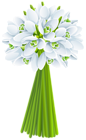 Springs Snowdrop PNG Clip Art