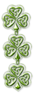 Shamrocks Clovers PNG Picture