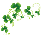 Transparent Shamrocks Decor PNG Clipart