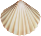 Clam Shell PNG Clipart