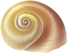 Sea Snail Shell PNG Clip Art Image