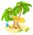 Transparent Beach Palm Decor PNG Clipart