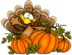 Thanksgiving Turkey PNG Clipart