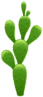 Cactus Transparent PNG Clip Art Image