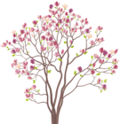 Mmagnolia Tree PNG Clip Art Image