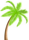 Palm Tree PNG Clip Art