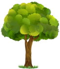 Tree Transparent Clip Art Image