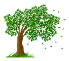 Tree Transparent Clipart Picture