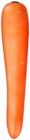 Carrot PNG Clipart