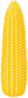 Corn PNG Clipart