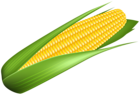 Corn Transparent Image