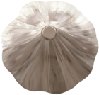 Garlic PNG Clipart