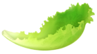 Leaf Lettuce PNG Clipart