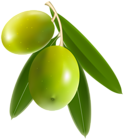 Olives PNG Clip Art Image