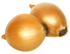 Onion PNG Clipart