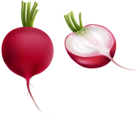 Radish PNG Clipart