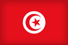 Tunisia Large Flag