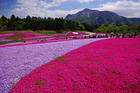 Hokkaido Gardens Wallpaper