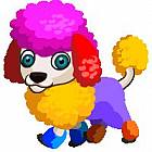 Rainbow Poodle