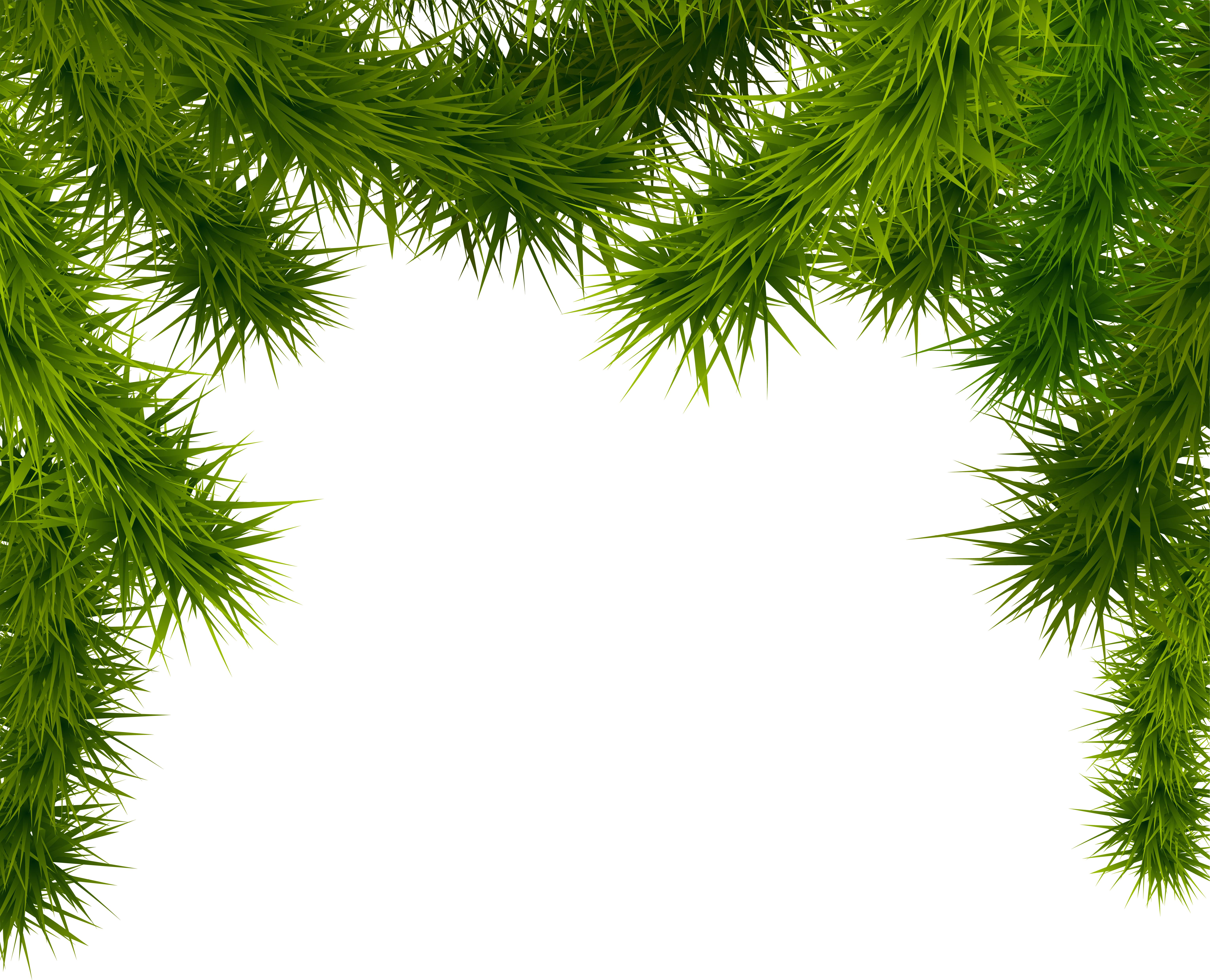 Pine Branches PNG Clipart​  Gallery Yopriceville - High-Quality