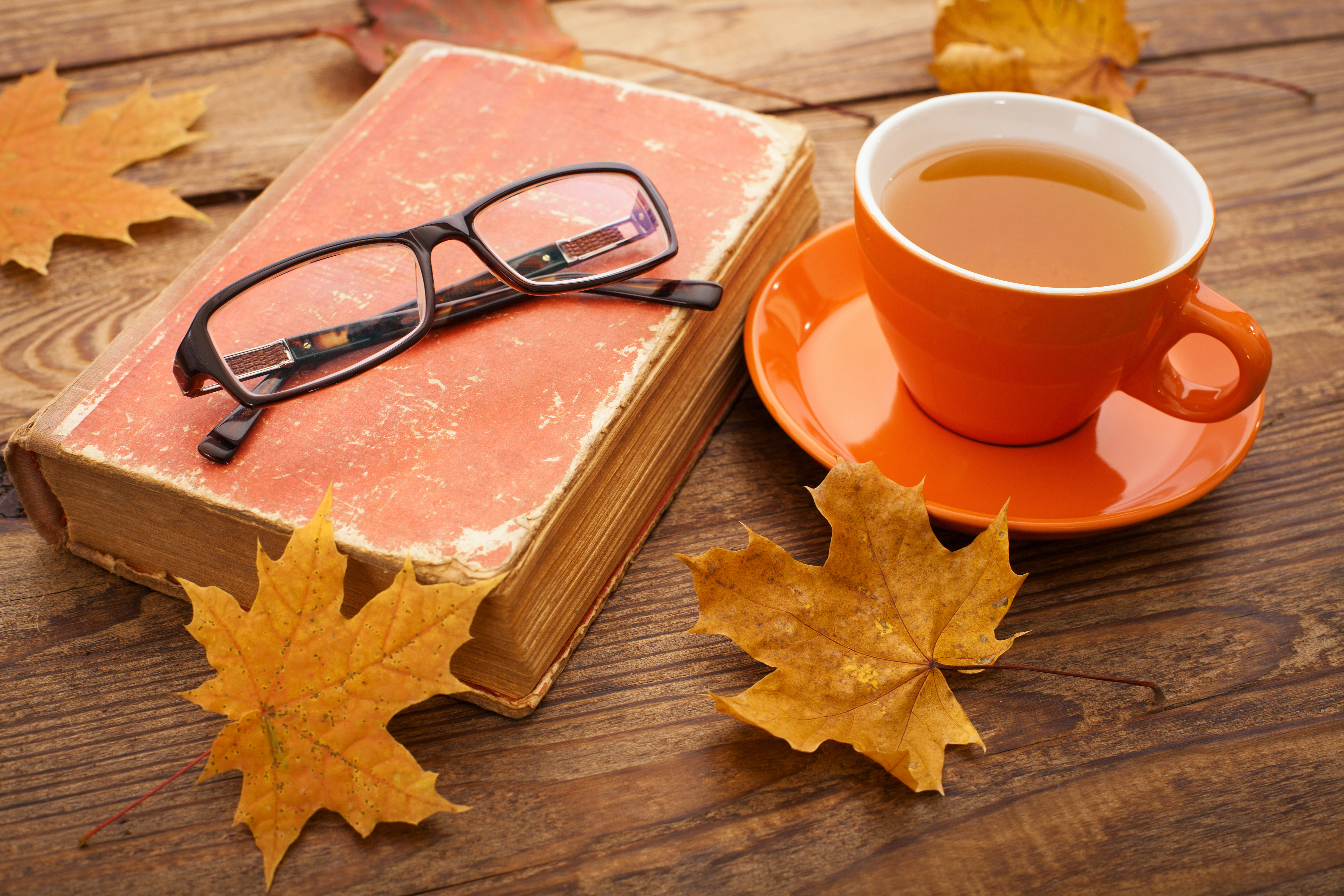 autumn coffee background