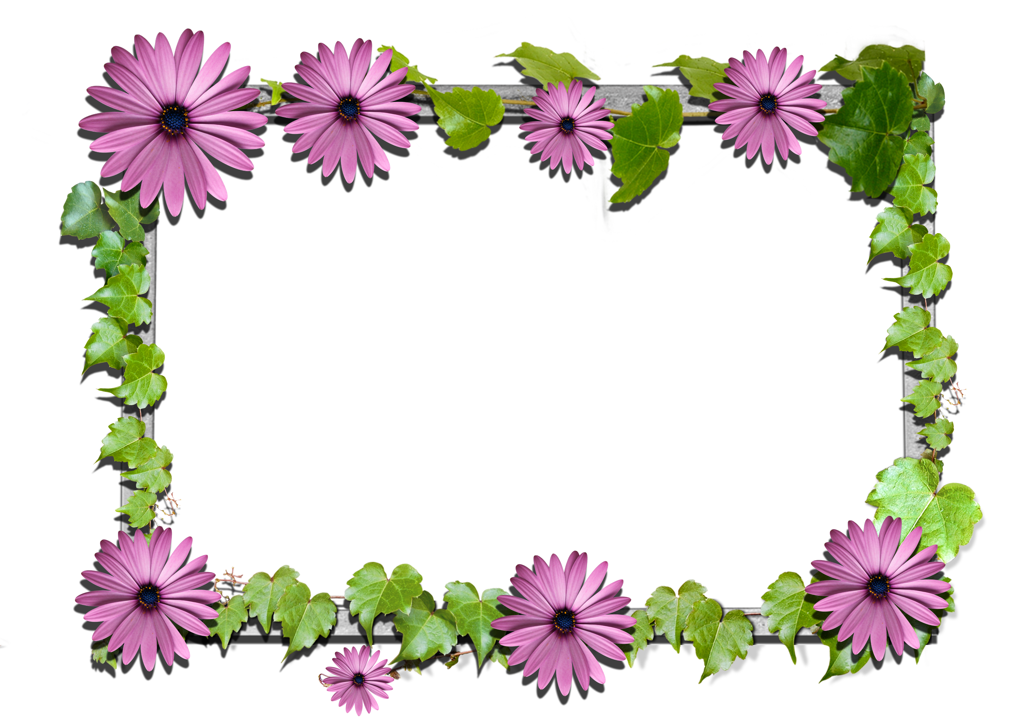 flower frame designs png