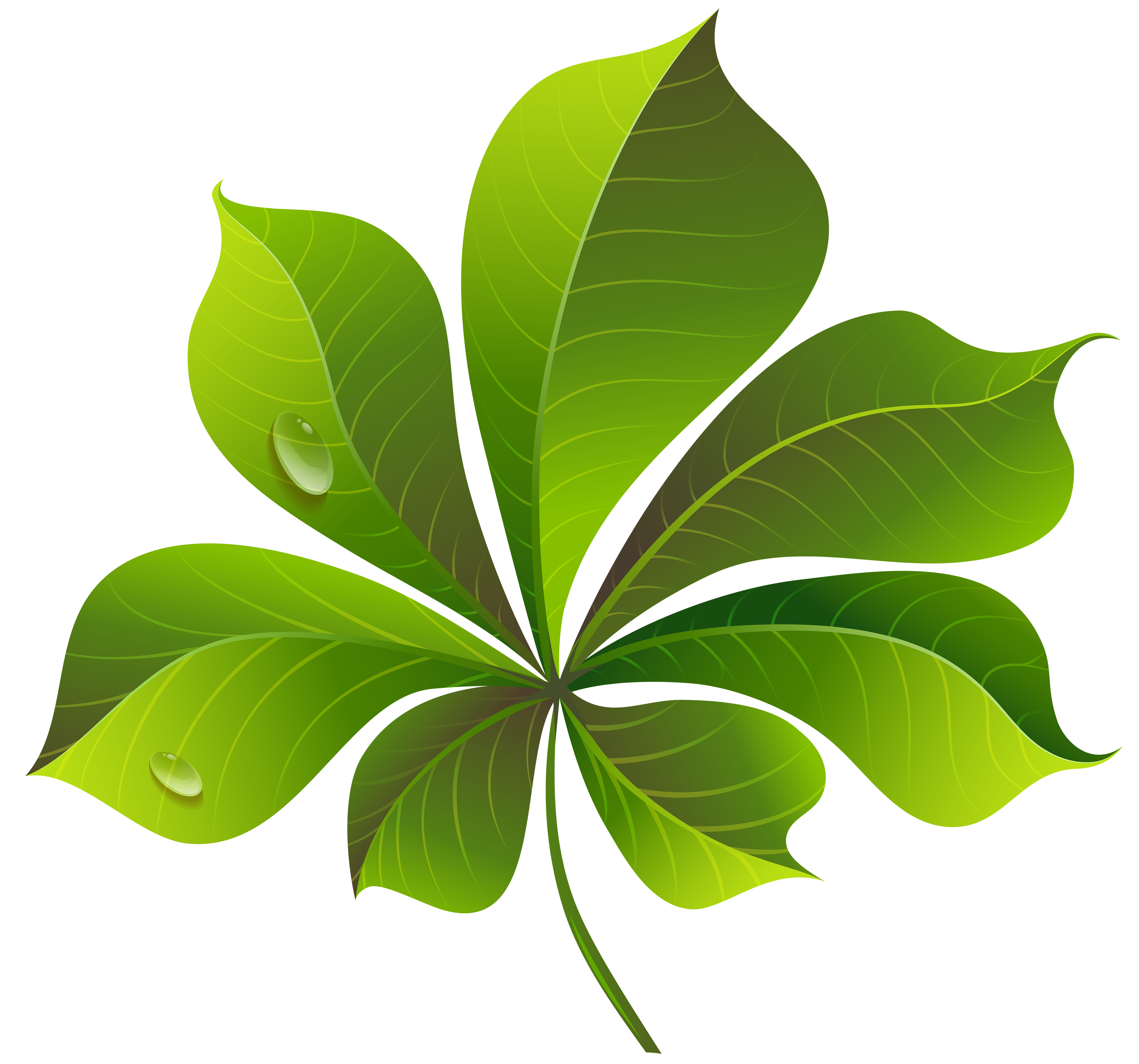 Green Leaf Transparent PNG Clip Art Image​  Gallery Yopriceville -  High-Quality Free Images and Transparent PNG Clipart