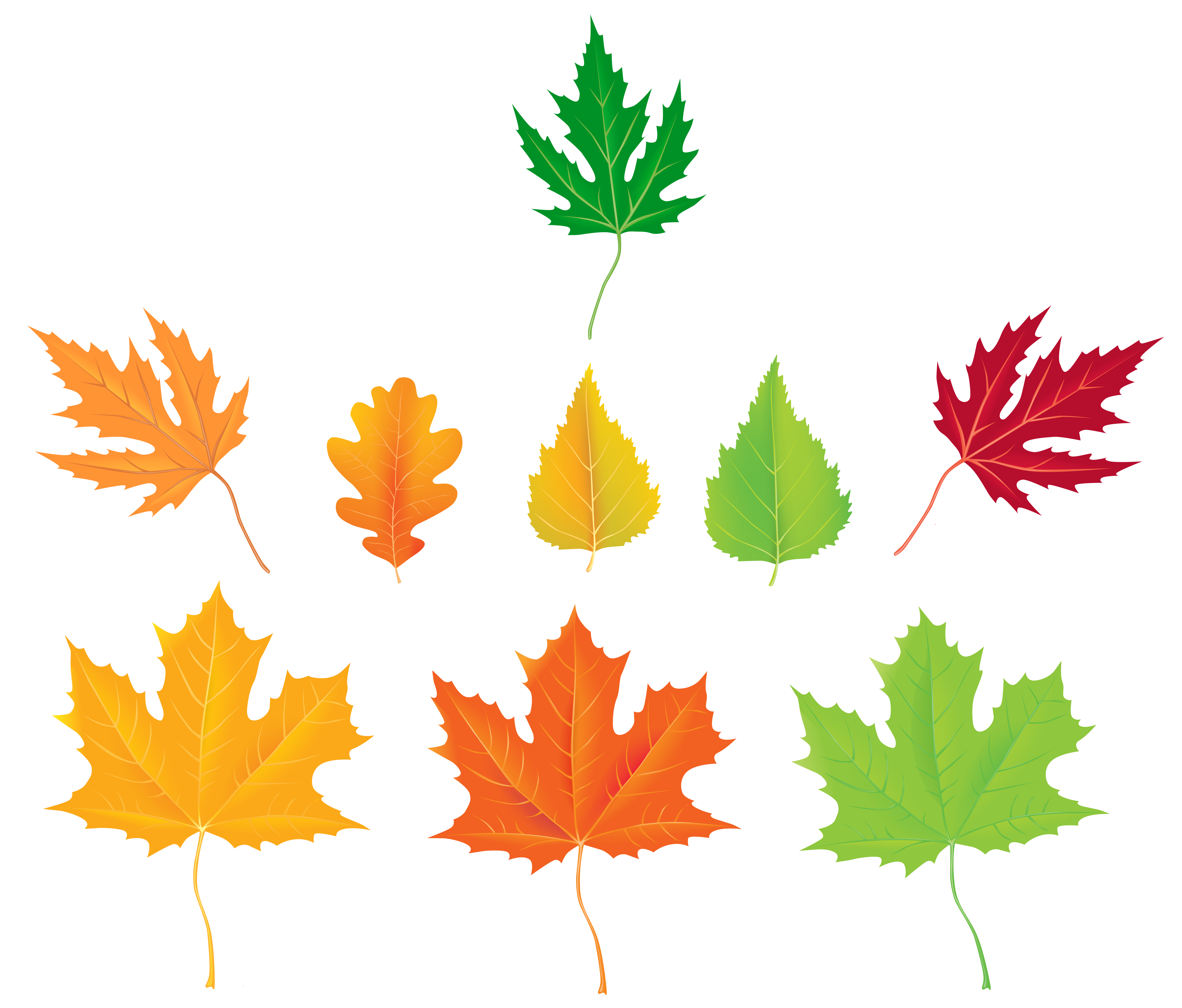 Autumn Maple Leaf PNG Clip Art - Best WEB Clipart