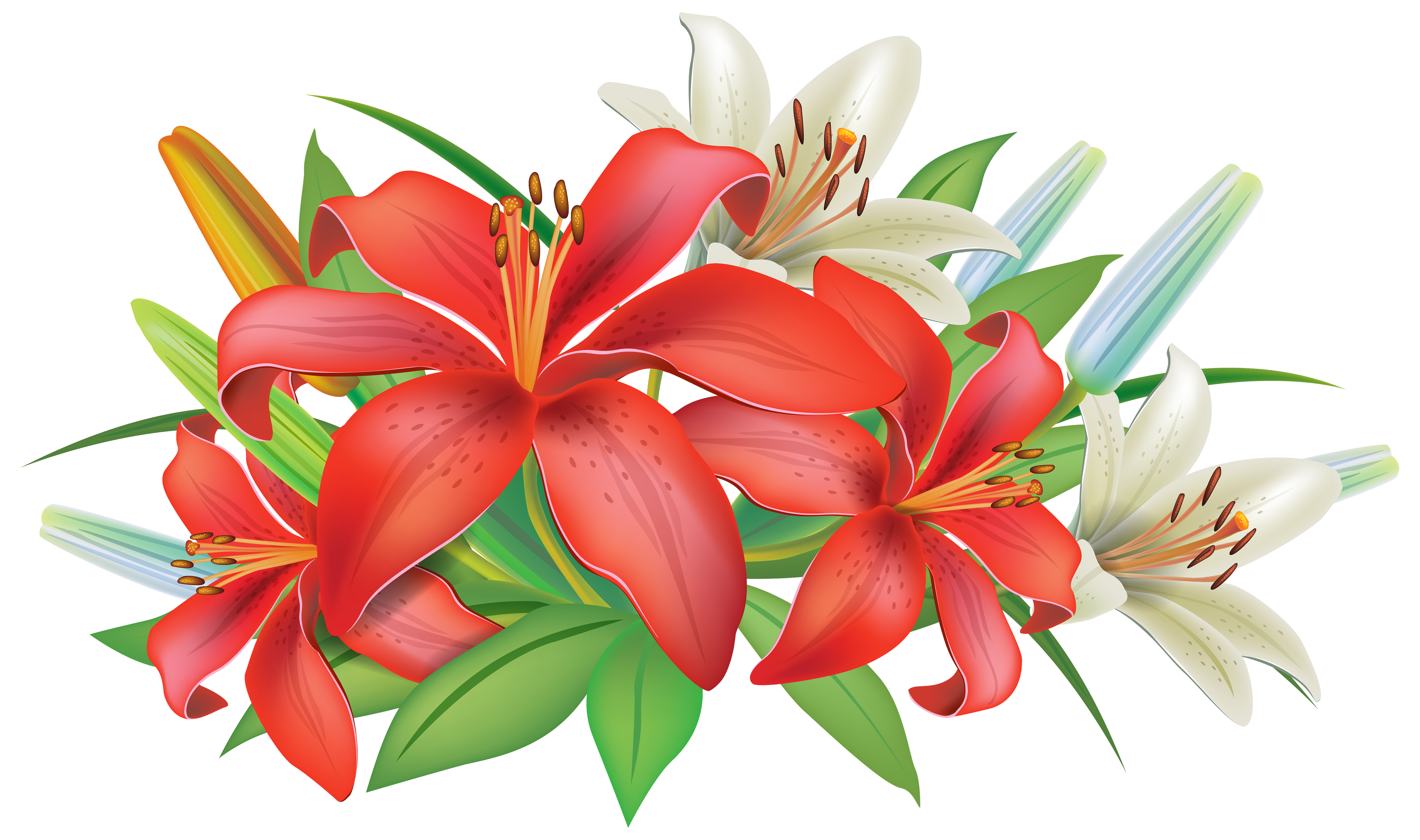 Red Lilies Flowers Decoration Png Clipart Image Gallery