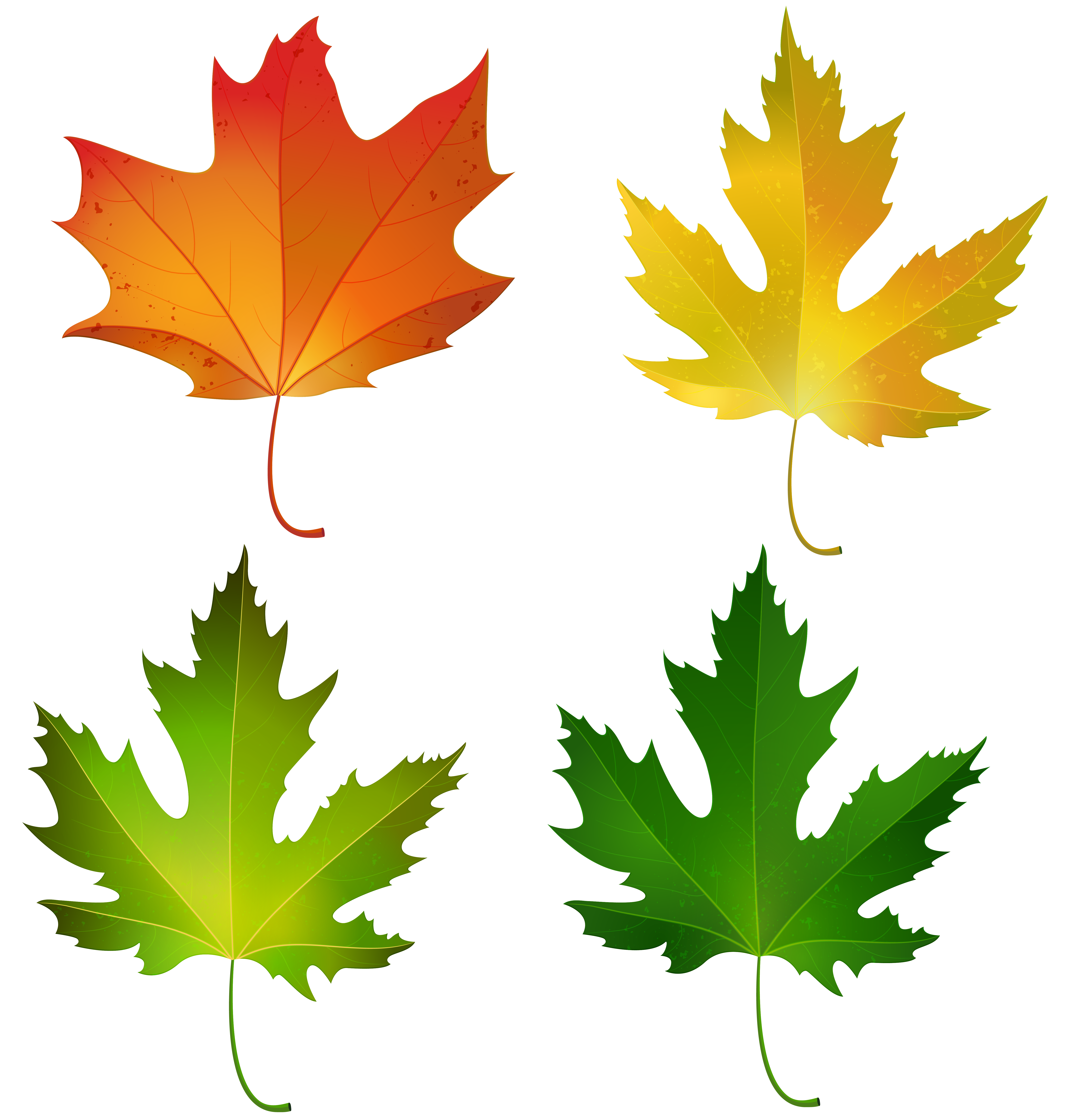 Maple Leaf Green PNG Clip Art Image​ Gallery Yopriceville - High-Quality  Free Images and Transparent PNG Clipart 