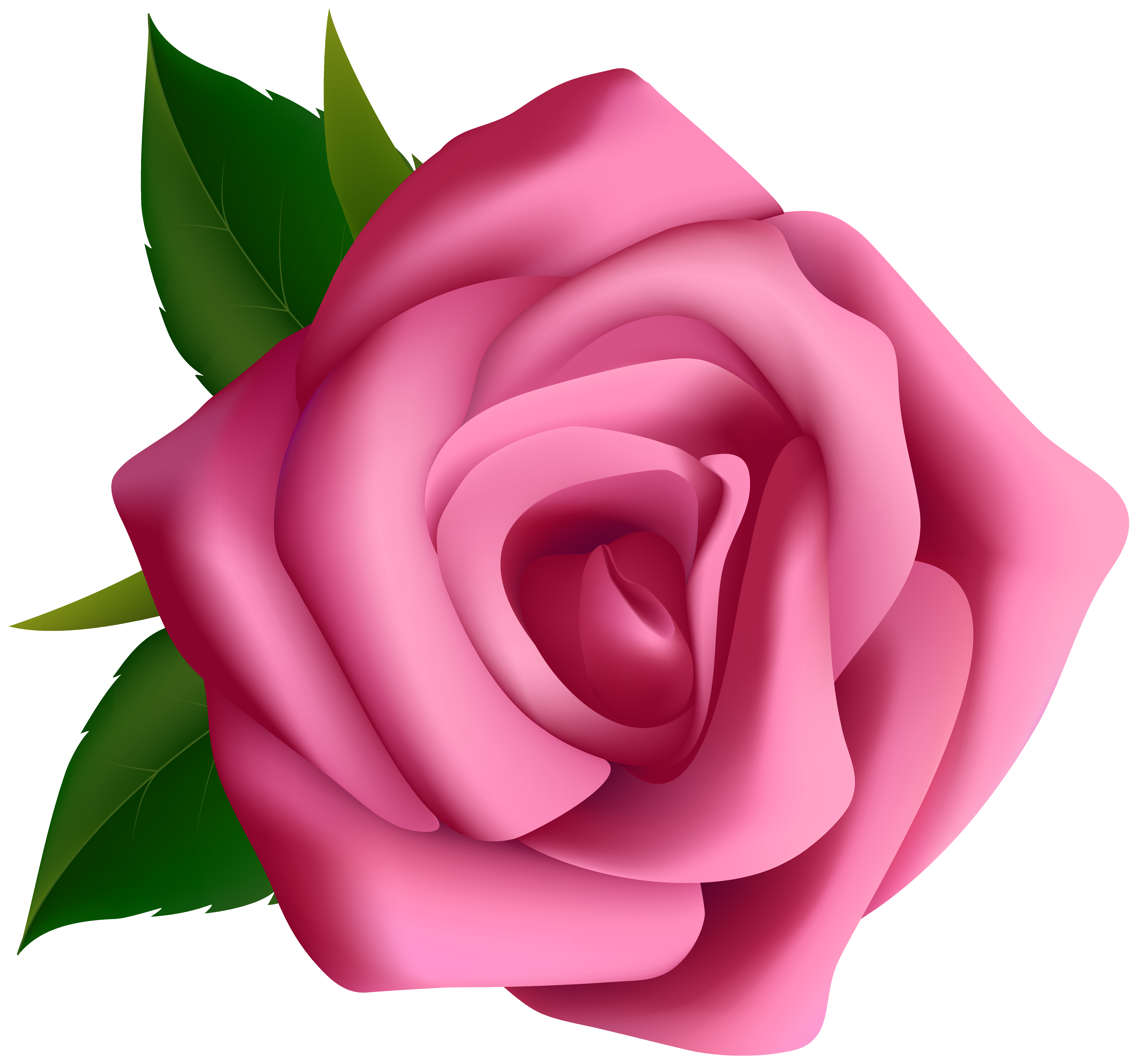 evenaar defect Pijl Pink Rose Clipart PNG Image​ | Gallery Yopriceville - High-Quality Free  Images and Transparent PNG Clipart