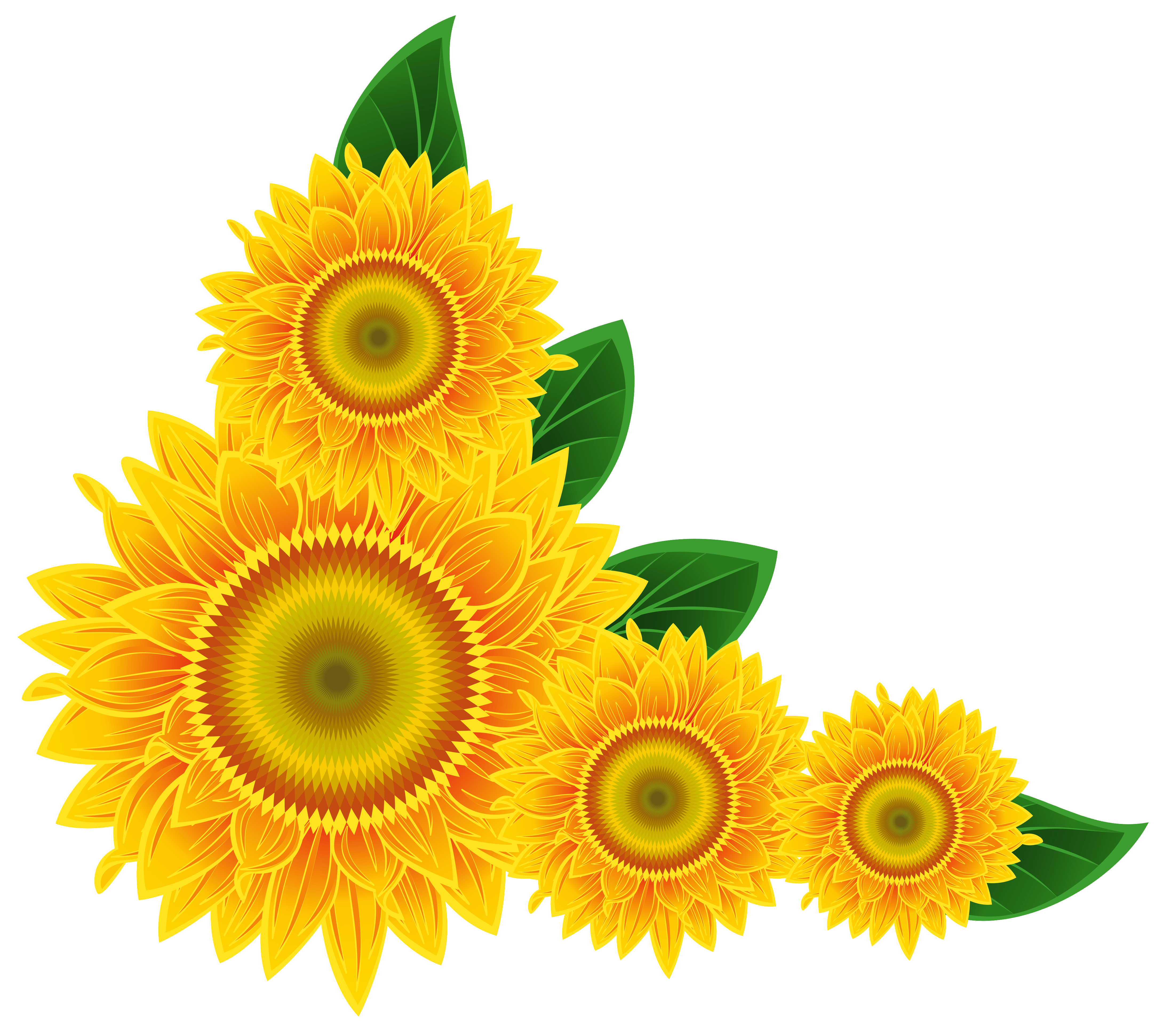 sunflower corner border clipart