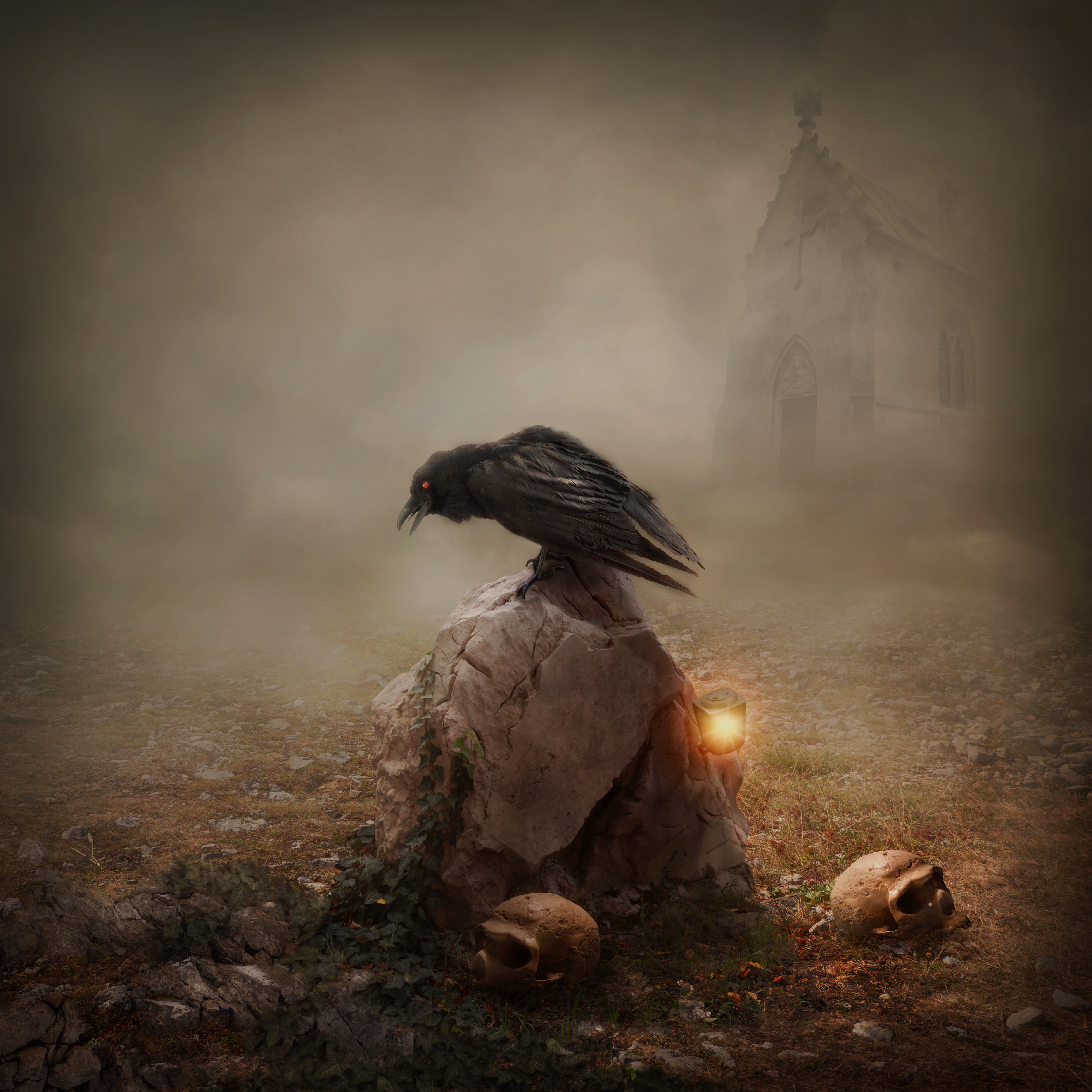 Horror Background with Crow​ | Gallery Yopriceville - High-Quality Free  Images and Transparent PNG Clipart