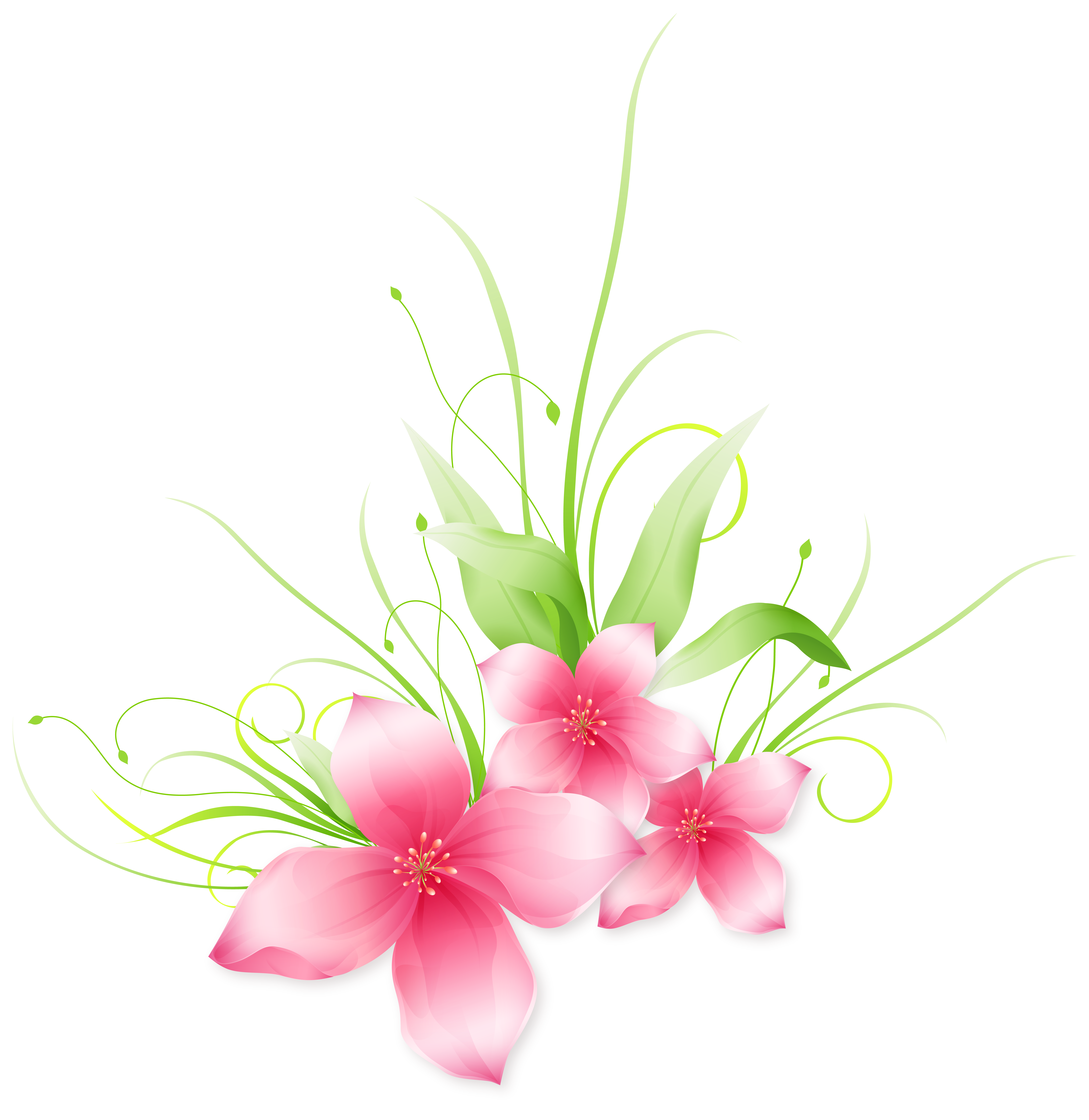 Pink flower png transparent background, Pink flower vector png hd